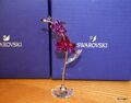 Atemberaubende Swarovski Kristall Flower Dreams Orchidee groß, 5490755, verpackt