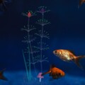  Künstliche Wasserpflanzen Aquarium Schmücken Realistische Unterwasserpflanze