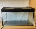 Aquarium 100L + Zubehör & Unterschrank