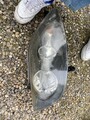 Scheinwerfer Set für VW Golf V Plus Bj. 12/04->> inkl. Motor H7+H7 XSN