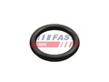 FAST Dichtung Ansaugkrümmergehäuse FT49426 für FORD FUSION FIESTA 5 Van 6 CB1 3A