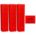 Schwarzkopf Igora Royal 3 x 60 ml 6-68 dunkelblond schoko rot Haarfarbe Cremefar