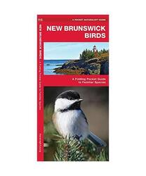 New Brunswick Birds: A Folding Pocket Guide to Familiar Species, James Kavanagh