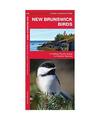 New Brunswick Birds: A Folding Pocket Guide to Familiar Species, James Kavanagh