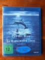 The Big Blue - Im Rausch der Tiefe / Luc Besson Blu Ray KLASSIKER