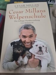 Cesar Millans Welpenschule von Cesar Millan (2013, Taschenbuch)