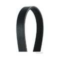 1x Keilrippenriemen HERTH+BUSS JAKOPARTS J1061510 passend für BMW MITSUBISHI