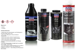 Original LIQUI MOLY Pro-Line Dieselpartikelfilter Reiniger und MotorPflege Set