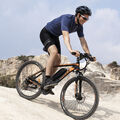 FAFREES 26 Zoll Elektrofahrrad e Bike E-Mountainbike 13Ah 25km/h Pedelec 250W