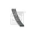 28741 Keilrippenriemen FEBI BILSTEIN geeignet für CHEVROLET, FIAT, LANCIA