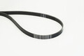 CONTINENTAL CTAM Keilrippenriemen 6PK1212 EXTRA für RENAULT MEGANE 4 B9A ESPACE