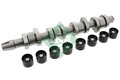 INA 428 0042 30 Nockenwellensatz for AUDI FORD SEAT SKODA VW