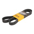 Keilrippenriemen CONTINENTAL 8PK1390