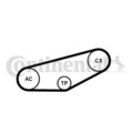 CONTINENTAL CTAM Keilrippenriemensatz für AUDI SKODA VW