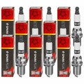 8x CHAMPION Zündkerzen für Opel Corsa D S07 1.2 1.4 Meriva F08 F68 1.0 F75_