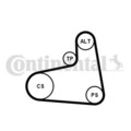 CONTINENTAL CTAM Keilrippenriemensatz 6PK906K1 für AUDI SEAT SKODA VW