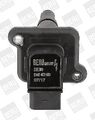 BorgWarner (BERU) Zündspule  u.a. für AUDI, SEAT, SKODA, VW