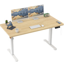 Gunji 100-160cm Höhenverstellbarer Schreibtisch Elektrisch Stehtisch mit Desktop