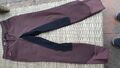 Softshell Reithose Felix Bühler 