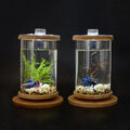 Natürliche Farbe Bambus & Glas Zylinder Aquarium für Betta  Desktop