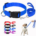 Nylon Hundehalsband mit Leine Hunde Halsbänder Verstellbar Weich Halsband XS-L