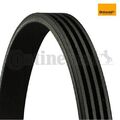 Keilrippenriemen CONTINENTAL CTAM 4PK760 für Mitsubishi