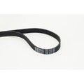 CONTINENTAL CTAM Keilrippenriemen 6PK1733