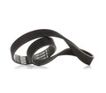 DAYCO 6PK736 Keilrippenriemen für VW Golf V Schrägheck (1K1) POLO (9N) 736,0mm