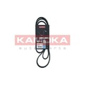 1x Keilrippenriemen KAMOKA 7016135 passend für AUDI BMW FORD OPEL RENAULT VW