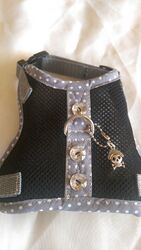 Hundegeschirr S Mesh Airmesh schwarz grau gepunktet Softgeschirr Welpen Glitzer