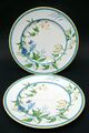 TWO Royal Worcester Pastorale Lg Size Dinner Plates 27cm - Look V Good Condition