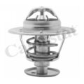 Thermostat, Kühlmittel CALORSTAT BY VERNET TH5981.89J