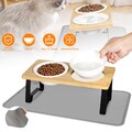 Katzennapf Erhöht 2er Set Futternapf Katze aus Keramik Fressnapf und Wassernapf
