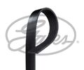 GATES (6PK893XS) Keilriemen, Keilrippenriemen für CITROEN PEUGEOT MINI DS