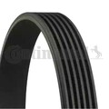 ORIGINAL® Continental Ctam Keilrippenriemen für Nissan MURANO I MURANO II