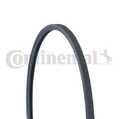 CONTINENTAL CTAM - 2PJ860 - Keilrippenriemen