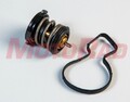 MOTORAD Thermostat Kühlmittel 87°C für VW Polo Golf VII Skoda Fabia III