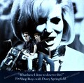 Pet Shop Boys With Dusty Springfield - What Have I Done To Deserve 7in 1987 '