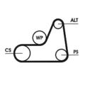 CONTINENTAL CTAM (6PK1042 ELAST) Keilriemen, Keilrippenriemen für FORD MAZDA