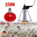 Rotlichtlampe Infrarotlampe Sparlampe Infrarotbirne Wärmelampe Heizlampe 250W DE