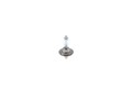 BOSCH Glühlampe Hauptscheinwerfer Plus 200 Gigalight DBL 1 987 301 436 für VW 7