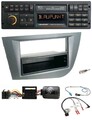 Blaupunkt USB DAB SD Lenkrad Bluetooth Autoradio für Seat Leon 2005-2010 dunkelg