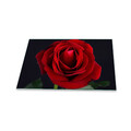 Herdabdeckplatte Ceran 1 Teilig 80x52 Blumen Rot Abdeckung Glas Spritzschutz
