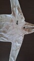Disclaimer Mädchen Sweatshirt Gr. L