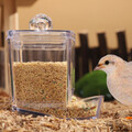 5 Pack Futterautomat Vogel Fütterer Vogelfutterhäuer Automatisch