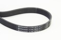 CONTINENTAL CTAM Keilrippenriemen 6PK1075 für HONDA LANCIA 1075 SLK ZETA W205 5