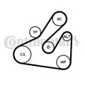 CONTINENTAL CTAM 5PK1745WP1 Wasserpumpe + Keilrippenriemensatz für MERCEDES-BENZ