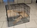 Nagerkäfig für Maus/Hamster, Glas Unterteil, 59 x 47 x 38 cm, 2 Böden, 2 Leitern