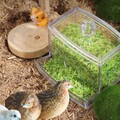  Futterautomat Futterspender Für Hühnerwasser Aus Kunststoff Käfig-Feeder