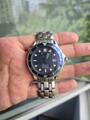 Omega SEAMASTER professional 